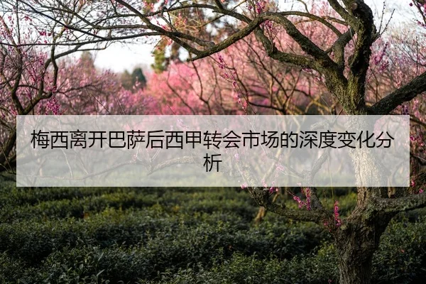 梅西离开巴萨后西甲转会市场的深度变化分析