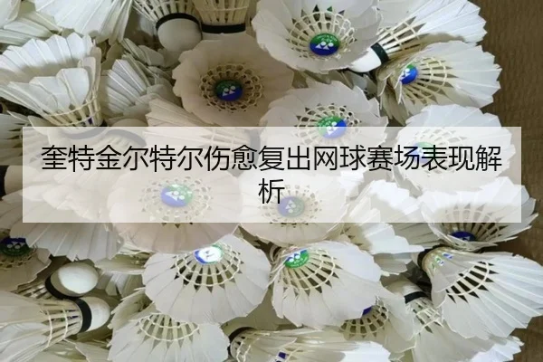 奎特金尔特尔伤愈复出网球赛场表现解析