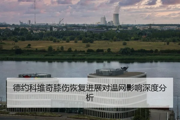 de-yue-ke-wei-qi-xi-shang-hui-fu-jin-zhan-dui-wen-wang-ying-xiang-shen-du-fen-xi-2-623.jpg